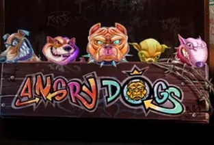 Angry Dogs
